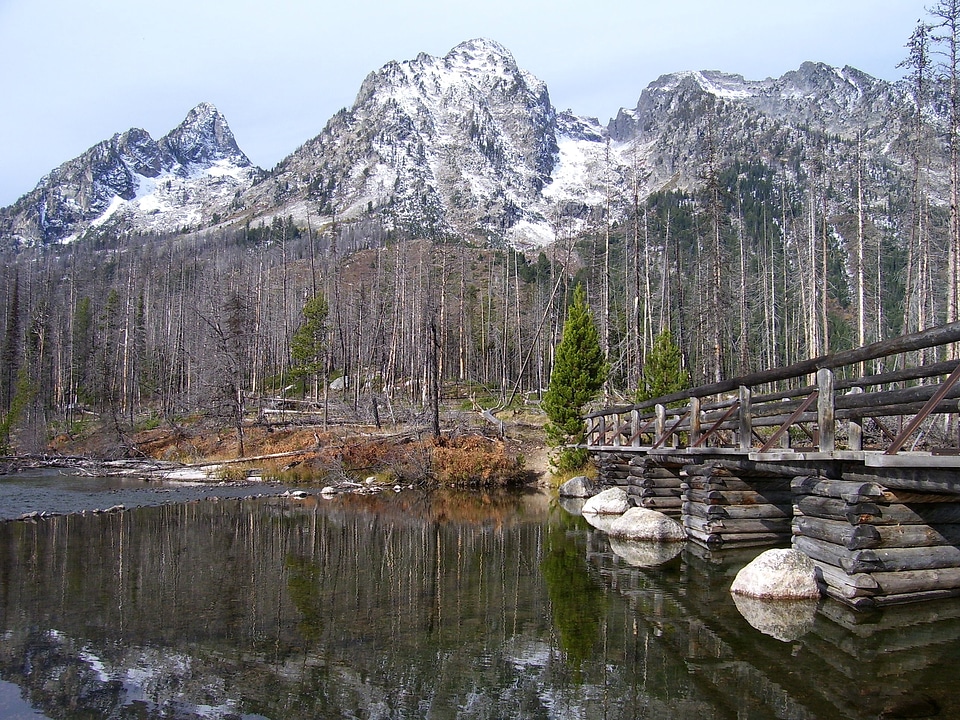 Bridge wooden grand teton national park