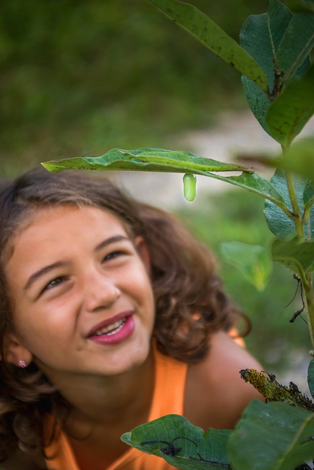 Young girl looking at Monarch chrysalis-2