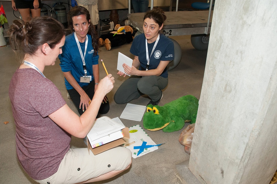 Marine Mammal Stranding Course at NCTC-1