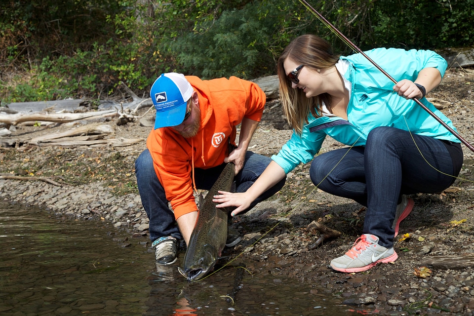 Anglers release a salmon-2