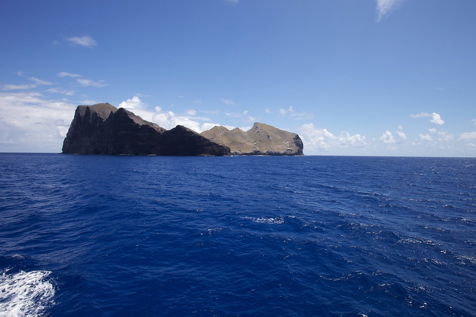 Nihoa Millerbird Translocation-2