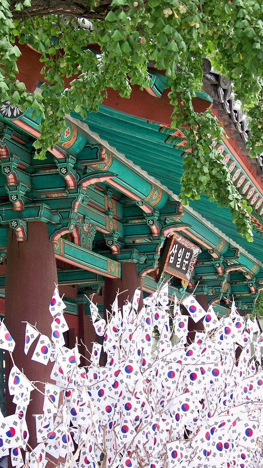 Festival flag door