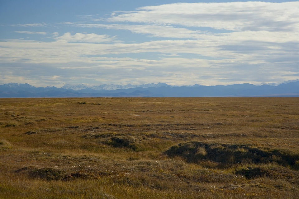 Remote grassland area