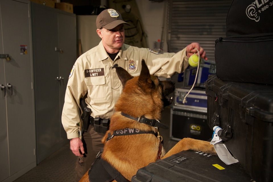 Law enforcement with K-9-1