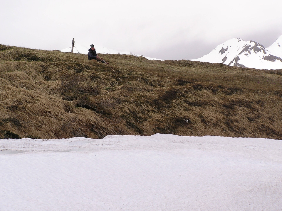 Evermann's Ptarmigan capture