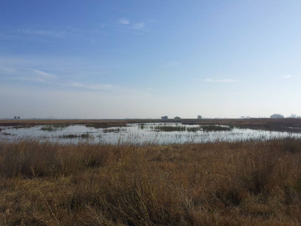 James tract at Grasslands Wildlife Management Area
