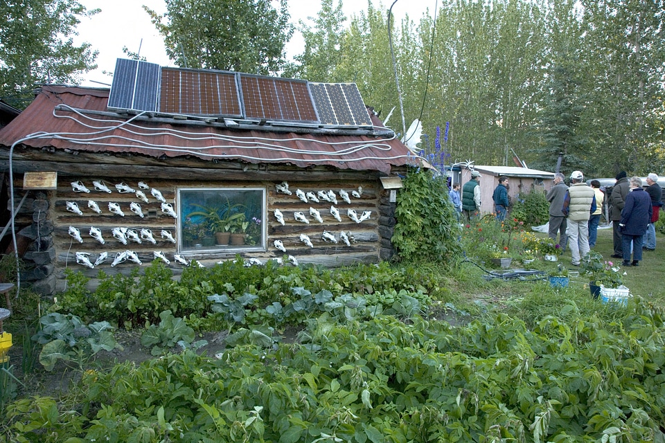 Animal skulls and solar panels on a rustic cabin