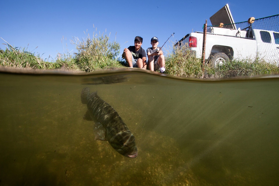 Youth fishing for Smallmouth bass