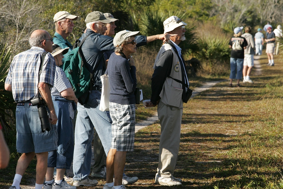 Wildlife viewing-1