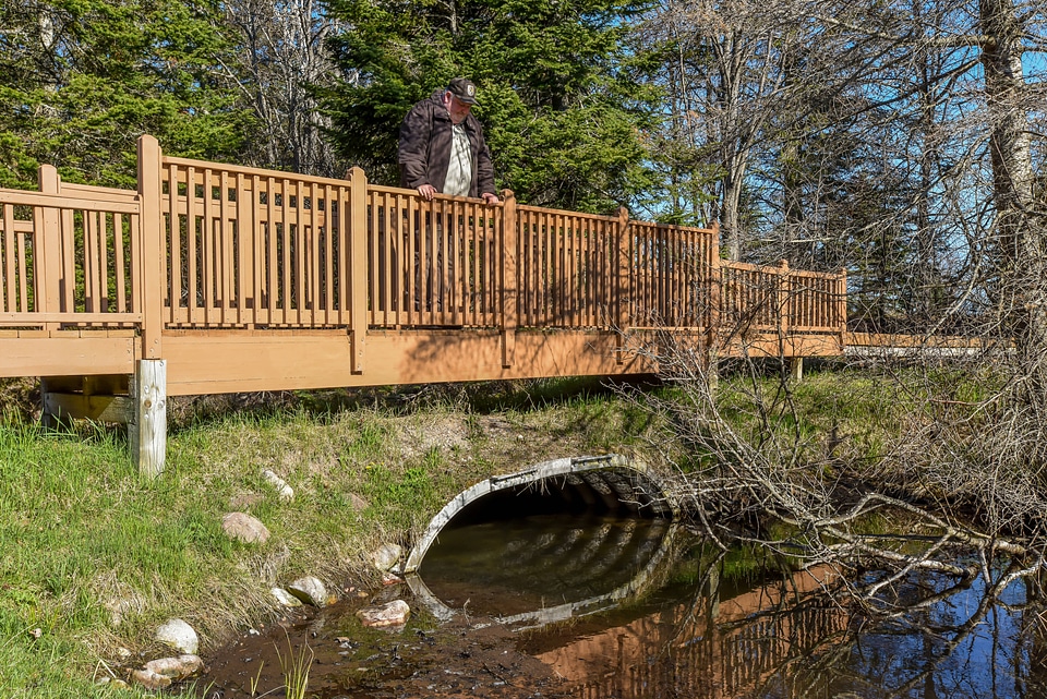 Bridge over creek
