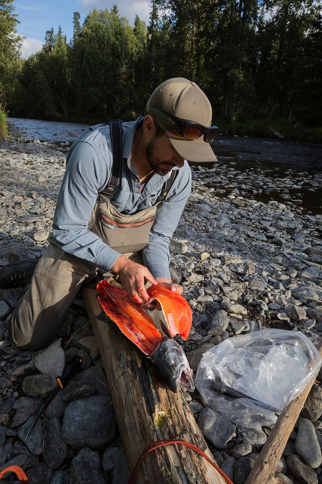 Fisherman catches silver salmon-1