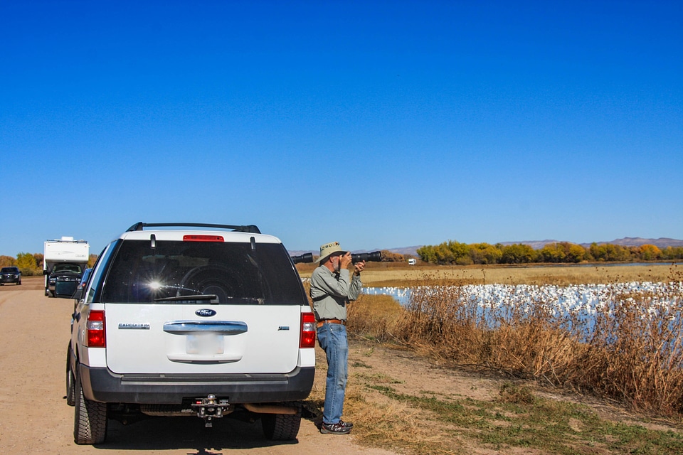 Refuge visitor photographs Snow Geese in the wetland