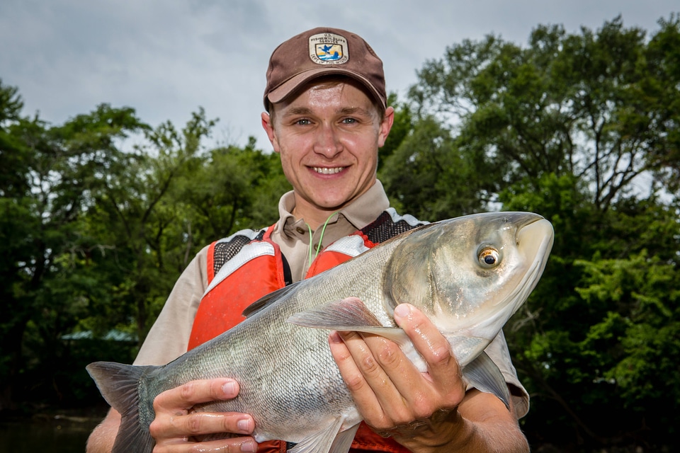 Fishery biologist with Silver carp-1