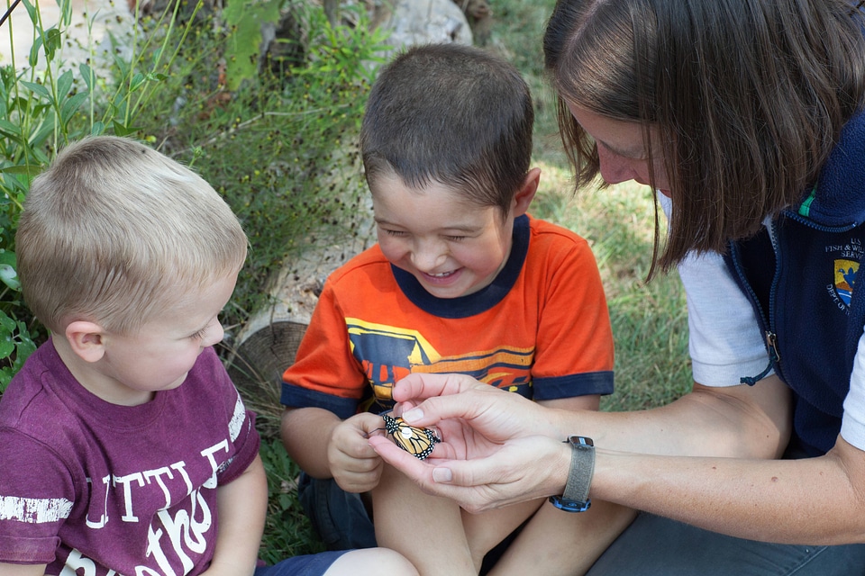 Biologist teaches children about the Monarch butterfly-4