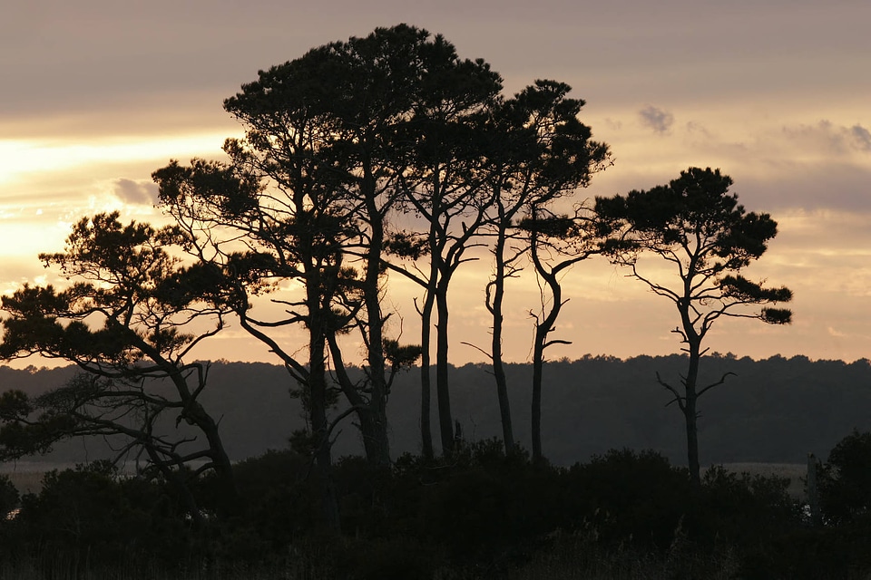 Sunrise at Chicoteague National Wildlife Refuge