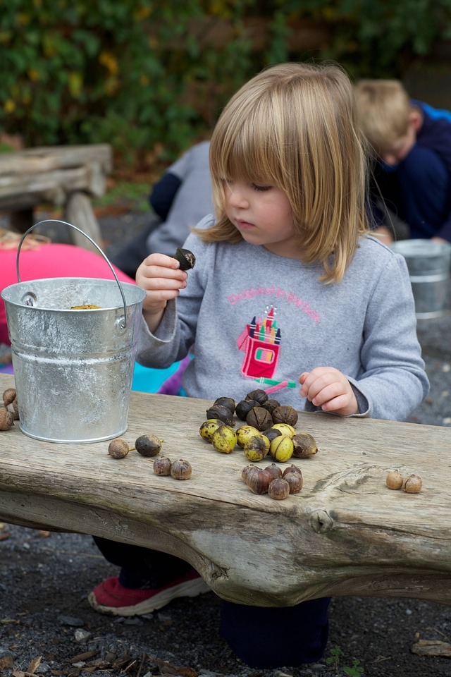 Young girl examining a nut