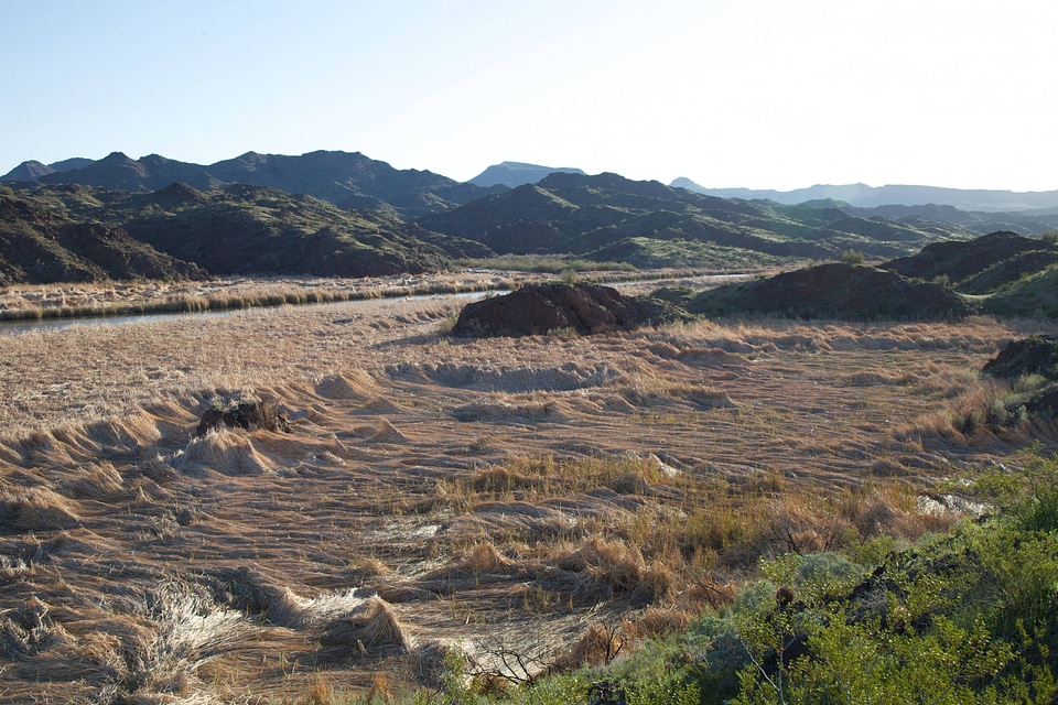 Scenic view of Bill Williams River-3