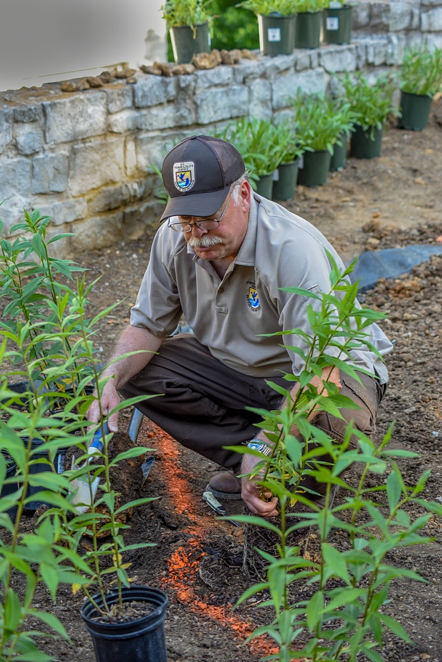 Employee planting a monarch garden-1