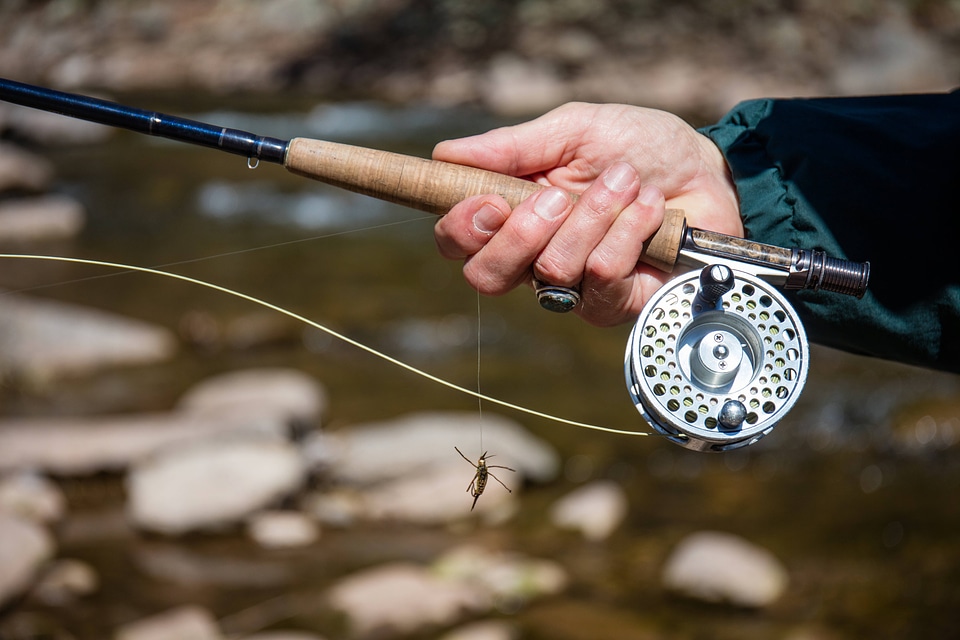 Fly rod used for fly fishing