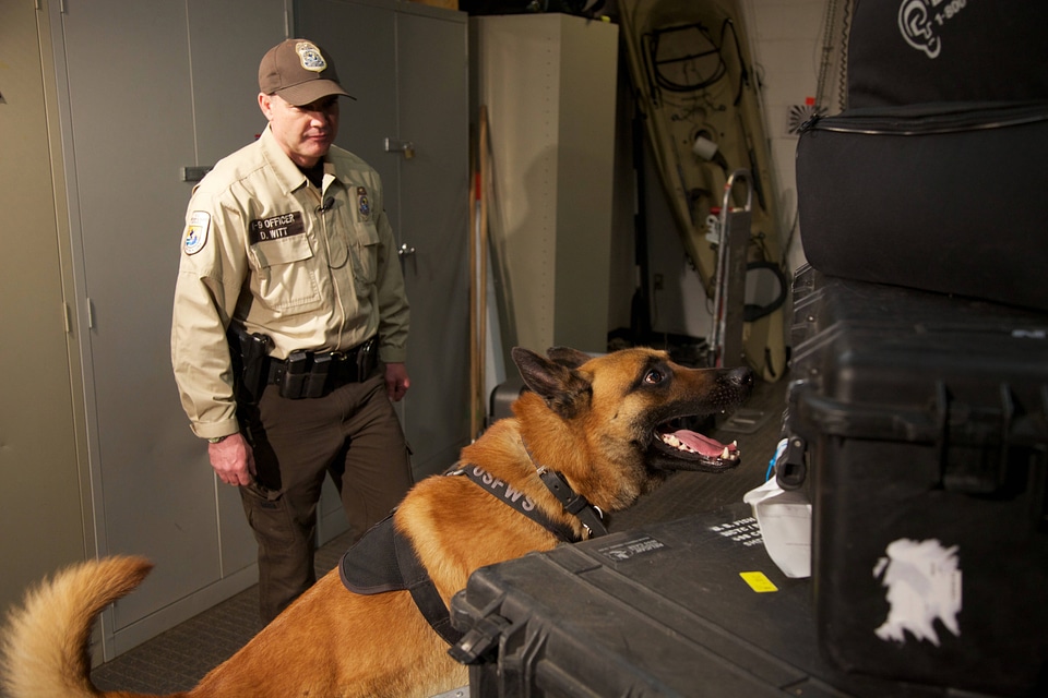 Law enforcement with K-9-1