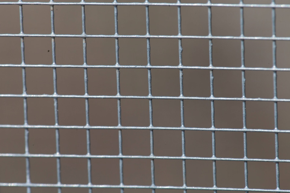 Close-up wire cage