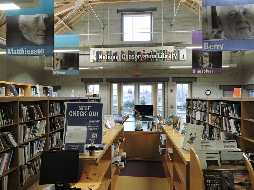 Interior view of the FWS Conservation Library-1