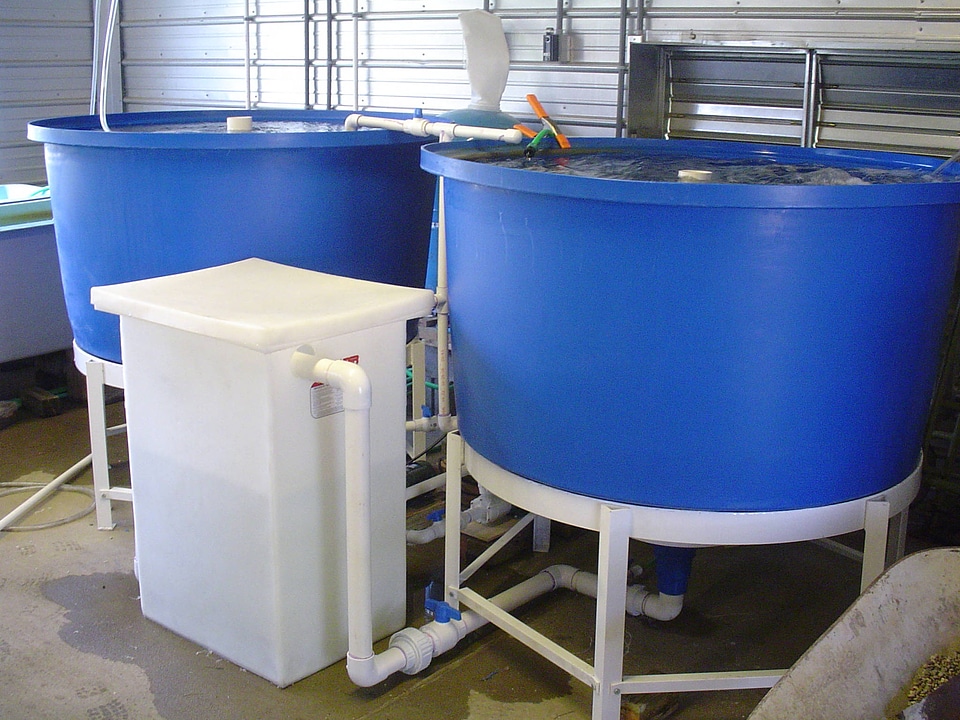 Large recirculating propagation system