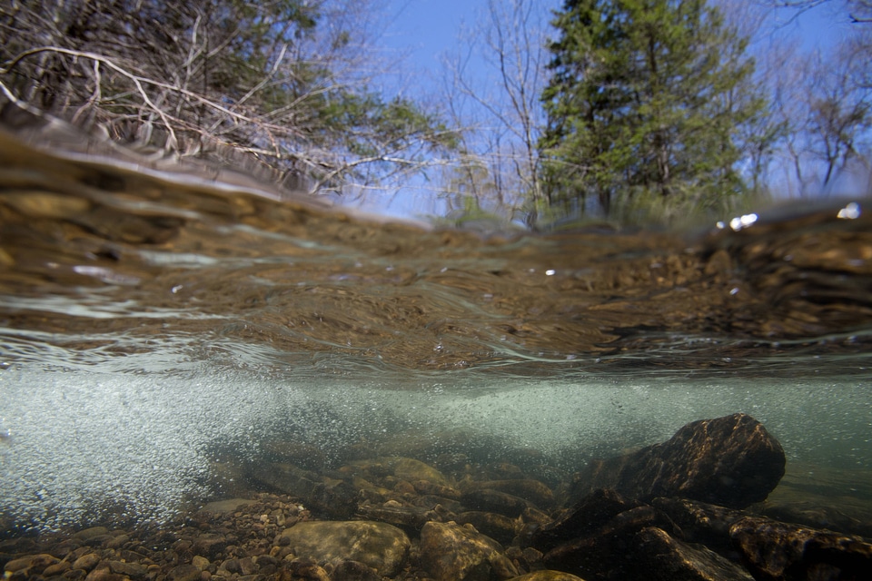 Underwater shot of bubbles in a clear mountain stream-2