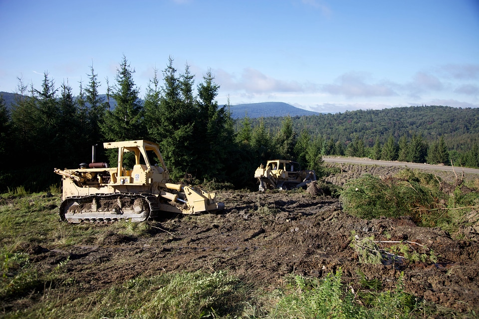 Bulldozer loosens the ground for Red spruce restoration