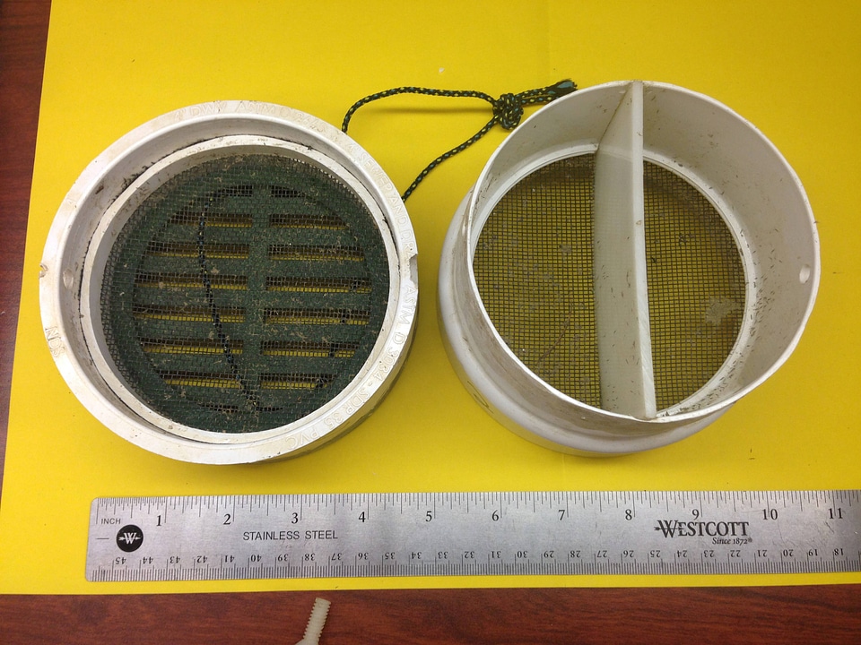 Mussel silo culture chamber