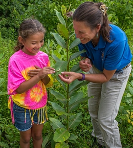 FWS worker shows a young girl a Monarch caterpillar