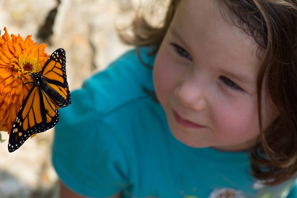 Monarch and child