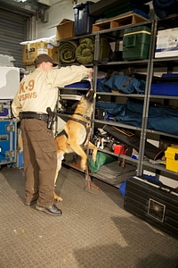 Law enforcement with K-9-6