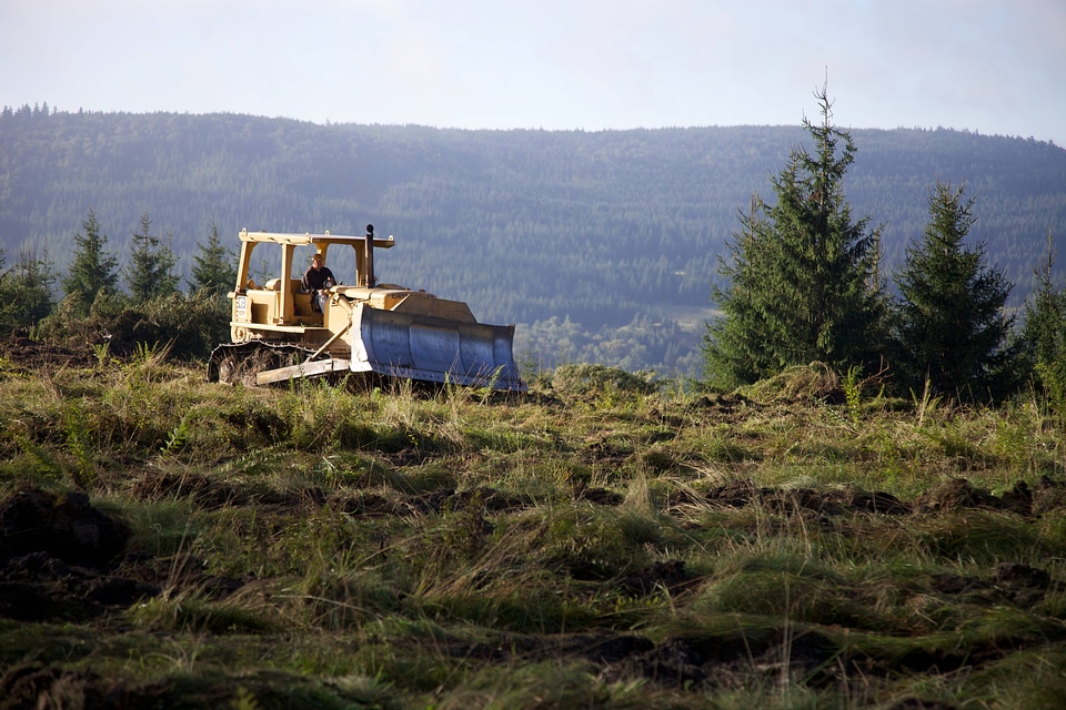 Bulldozer loosens the ground for Red spruce restoration-2