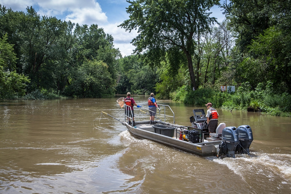 Electrofishing for invasive carp-1