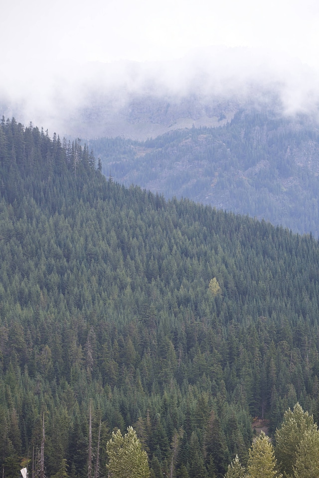 Mountain views of forested hillsides-3