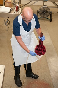 Marine Mammal Stranding Course at NCTC-1