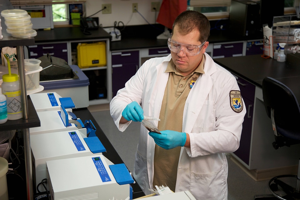 Service scientist at Lower Columbia River Fish Health Center-1