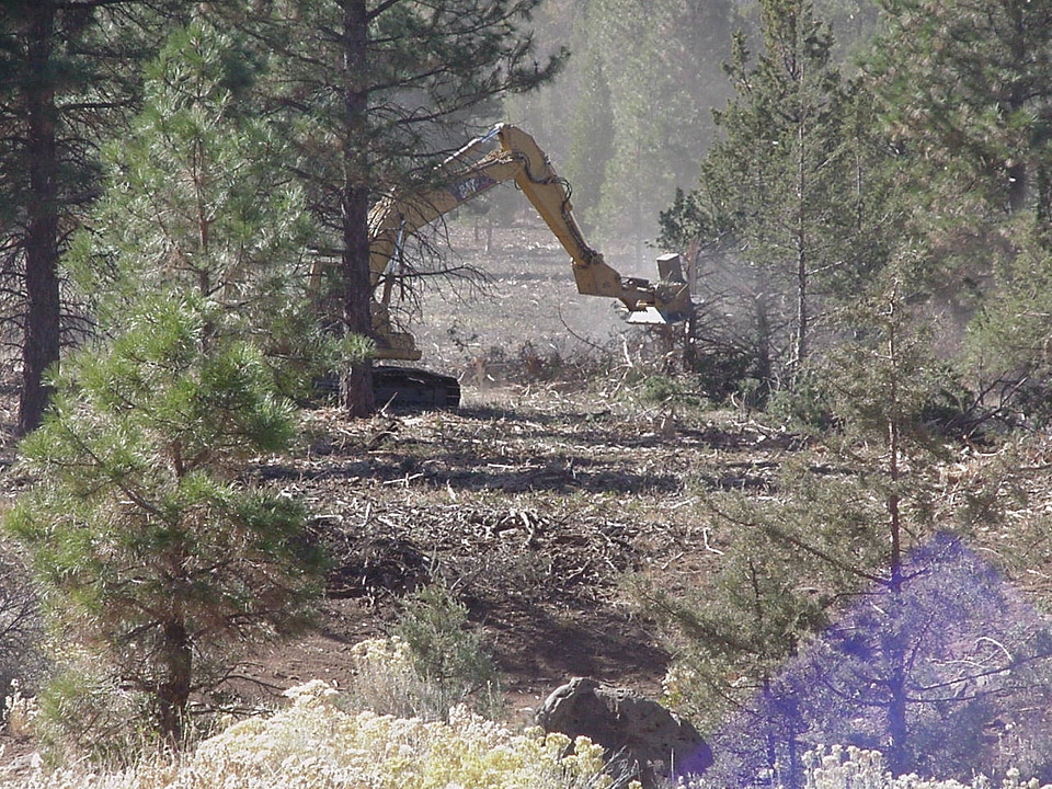 Slashbuster thinning 