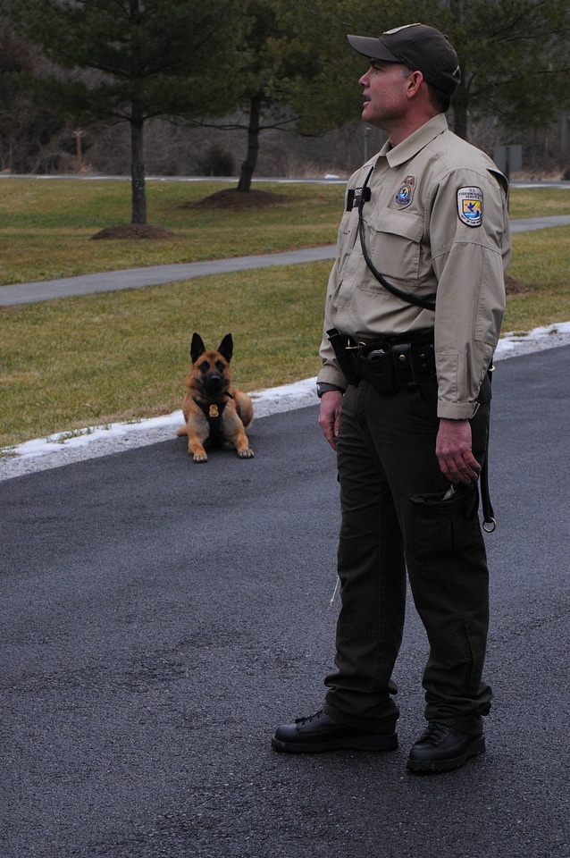 Law enforcement officer with canine