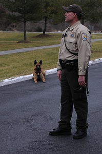 Law enforcement officer with canine