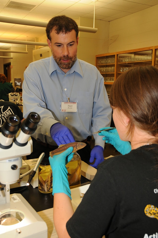 Fish identification in the lab