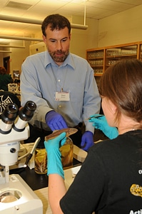 Fish identification in the lab