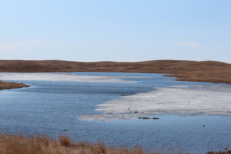 Wetland with ice on grass easement