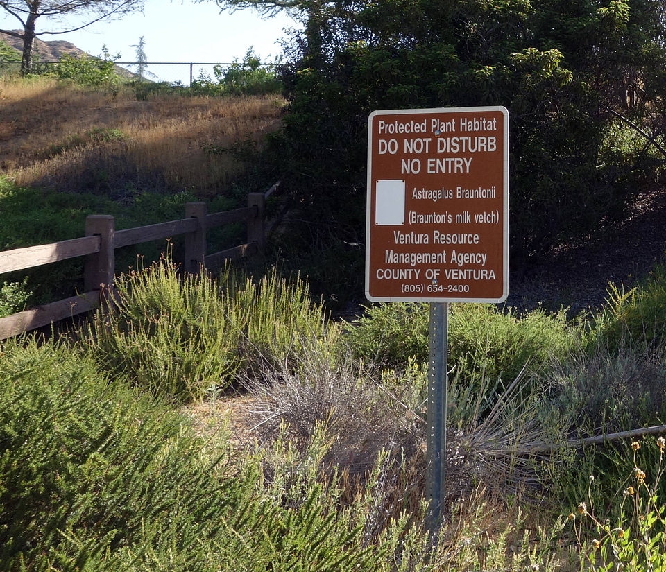 Sign designating area for Endangered Braunton's milk-vetch
