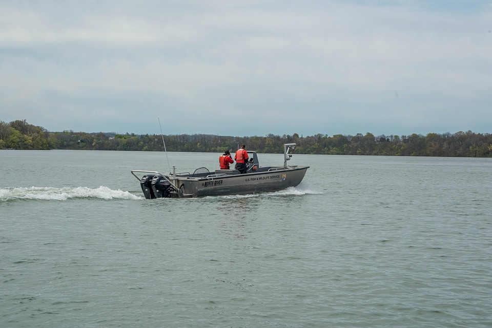 USFWS Fisheries crew in boat preparing for lake sturgeon field work-4