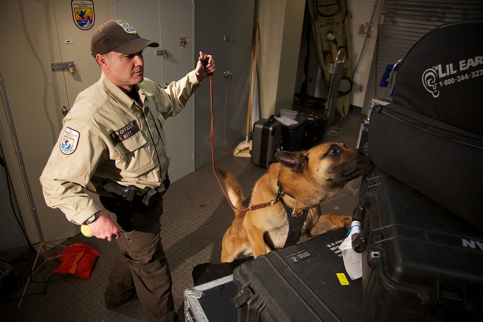 Law enforcement with K-9-2