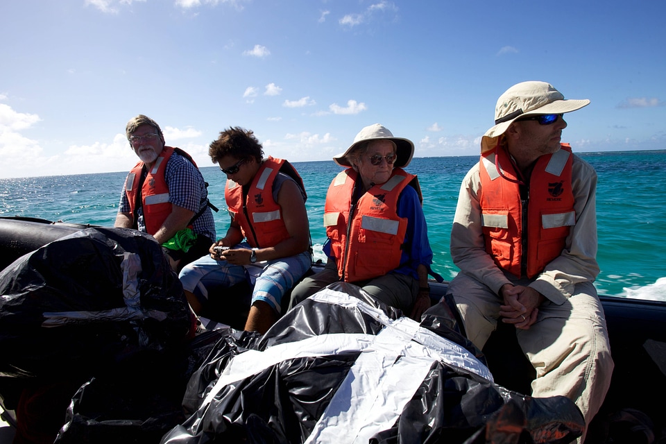 Nihoa Millerbird Translocation-4