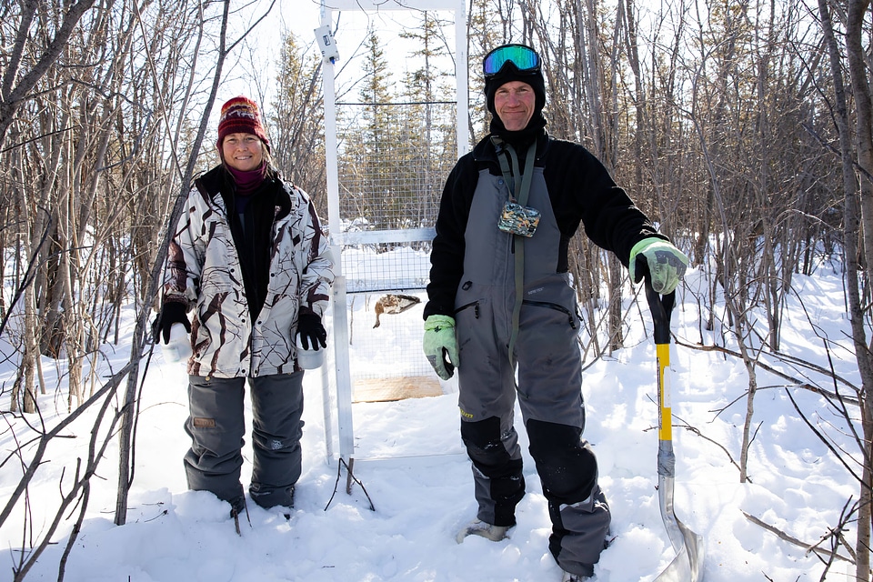 Biologists with a live trap for lynx