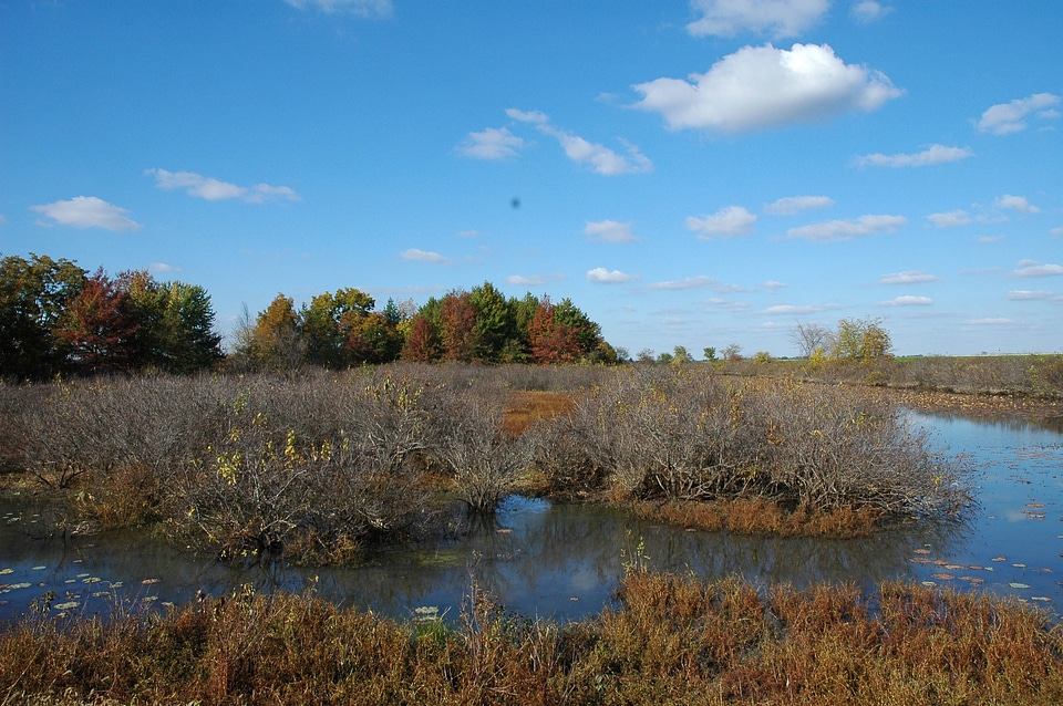 Autumn scenic at Swan Lake National Wildlife Refuge